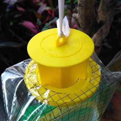 Customized Size PVC Fly Catcher Fliegentasche Cage for Fly Control in Any Environment