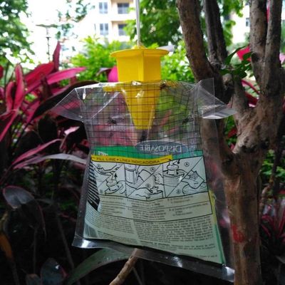 Customized Size PVC Fly Catcher Fliegentasche Cage for Fly Control in Any Environment