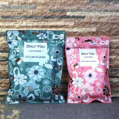 Custom Zip Lock Bag for Funny Underwear Glossy Pants Silk Stockings Clothing Packaging