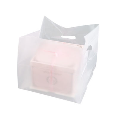 Plastic Material Structure Custom Size Accepted Tote Bag for Salad Baking Packaging