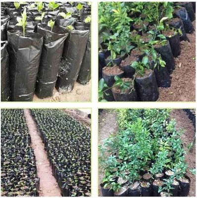 Plastic Nursery Bag for Garden Plant Fruit Vegetable Flower Planter