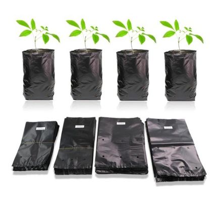 Plastic Nursery Bag for Garden Plant Fruit Vegetable Flower Planter