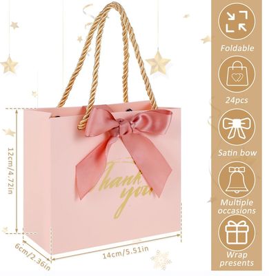 Clothing Packaging Shopping Bag With Ribbon Handle And Custom Logo