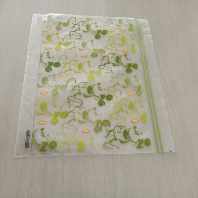 Durable Double Zip Lock Bag In Plastic Sandwich Zipper PE Resealable Freezer Fruit Storage Bags