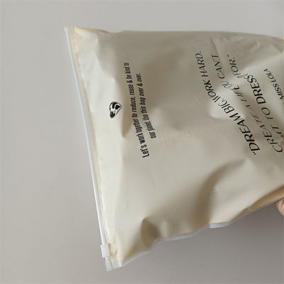 Customize Any Color Moisture Proof Polybags for Shoes and Clothing Frosted Zipper Bag