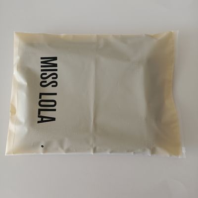 Gravure Printing Zipper Plastic Bag for Garment Packaging Custom Logo and Waterproof