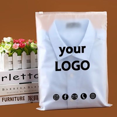 Eco-friendly Custom Printing Plastic Packaging Transparent PE Frosted Zipper Bag