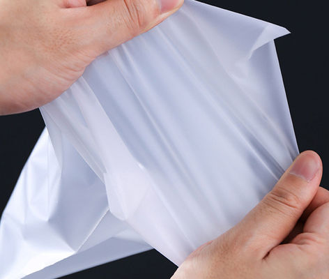 Eco Friendly Printing Plastic Zip Lock Packaging Bags for Clothes 0.08mm Custom Dusty